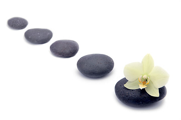 Image showing zen stones with orchids flower isolated. spa background