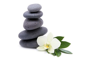 Image showing zen stones with orchids flower isolated. spa background
