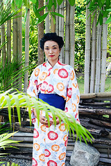 Image showing Geisha