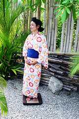 Image showing Geisha