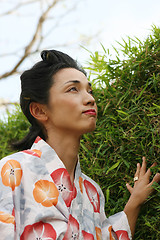 Image showing Geisha