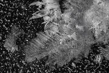 Image showing Frost crystals