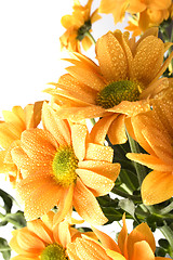 Image showing boquet of orange flowers