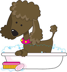 Image showing Poodle Bath Brown