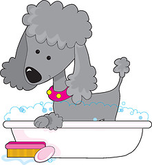 Image showing Poodle Bath Grey