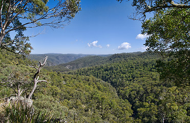 Image showing looking out over the forests