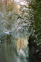 Image showing Winter Wonder