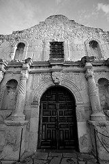 Image showing Alamo in black and white
