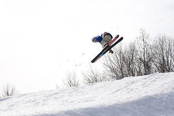 Image showing Ski Jumper