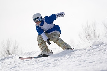 Image showing Extreme Skier 