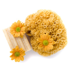 Image showing natural sponge, soap and flowers