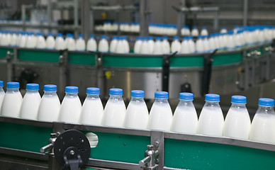 Image showing Dairy Plant.