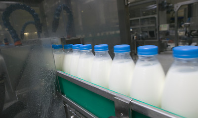 Image showing Dairy Plant.