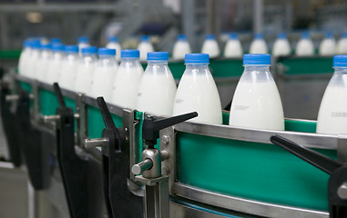 Image showing Dairy Plant.