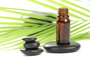 Image showing essential oil