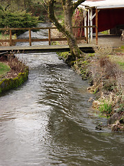 Image showing By the Creek