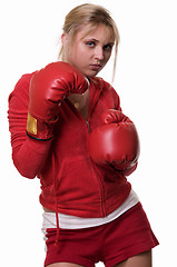 Image showing Girl boxer