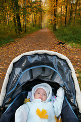 Image showing baby in sidercar on background of the autumn park