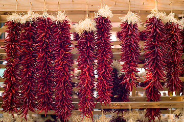 Image showing Traditional chili bunches