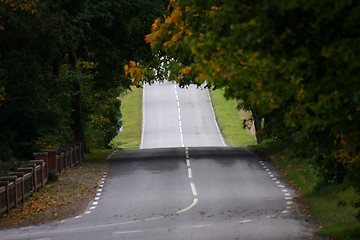 Image showing way through a forest