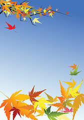 Image showing Autumn leafs