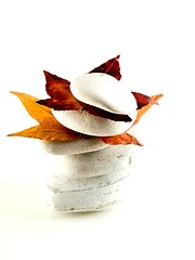 Image showing Beach stones with fall leaves