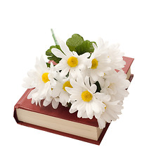 Image showing Isolated Book With Daisies