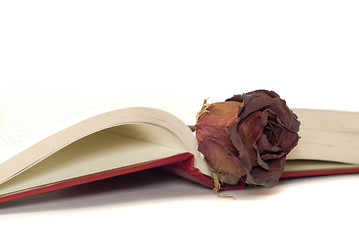 Image showing Romantic Book