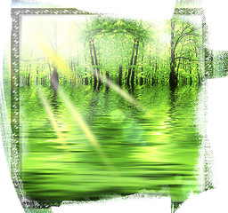 Image showing Green Forest.