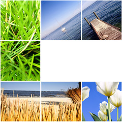 Image showing Colorful nature collage.