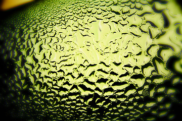 Image showing Green drops of water - light from backside. Macro