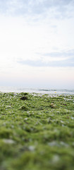 Image showing Summertime at the beach.