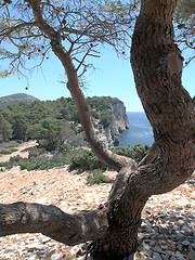 Image showing Coast