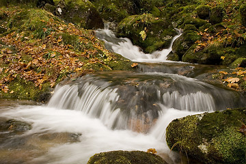 Image showing River in the mountain with leaves all over the flor