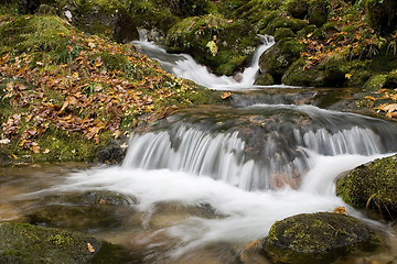 Image showing River in the mountain with leaves all over the flor