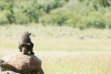 Image showing thinker