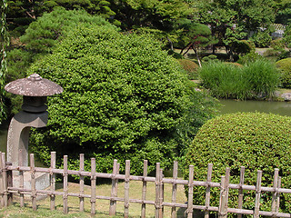 Image showing Summer Japanese garden