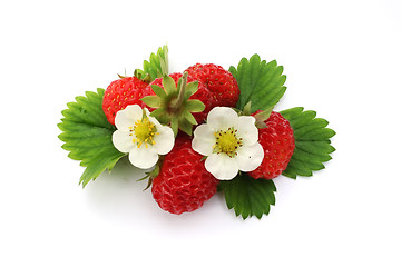 Image showing Strawberries on white background