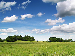 Image showing Summer landscape