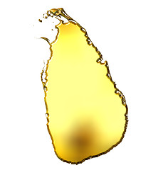 Image showing Sri Lanka 3d Golden Map