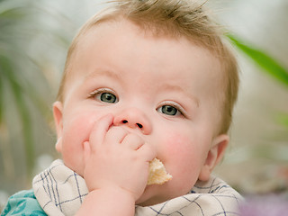 Image showing Portrait of a cute young baby boy eating