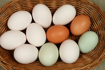 Image showing Eggs