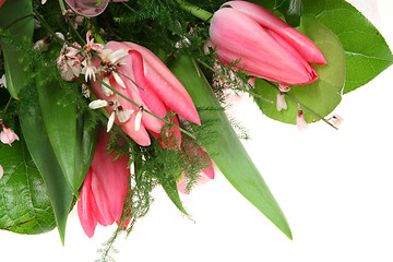 Image showing Tulips