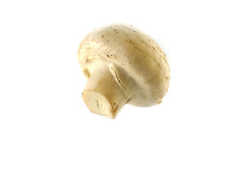 Image showing fresh champignon 