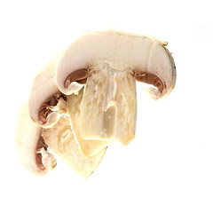 Image showing fresh champignon 