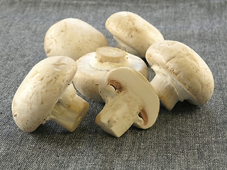 Image showing fresh champignon 