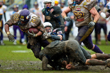 Image showing Vikings vs Devils