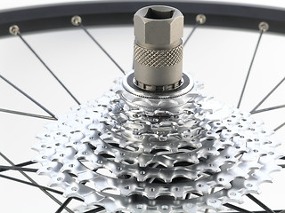 Image showing rear bicycle cog cassette