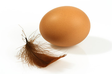 Image showing Brown egg