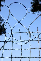 Image showing Barbed wire